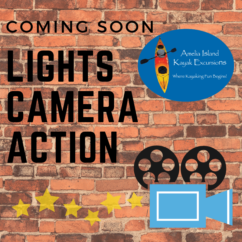 Amelia Island Kayak Lights Camera Action