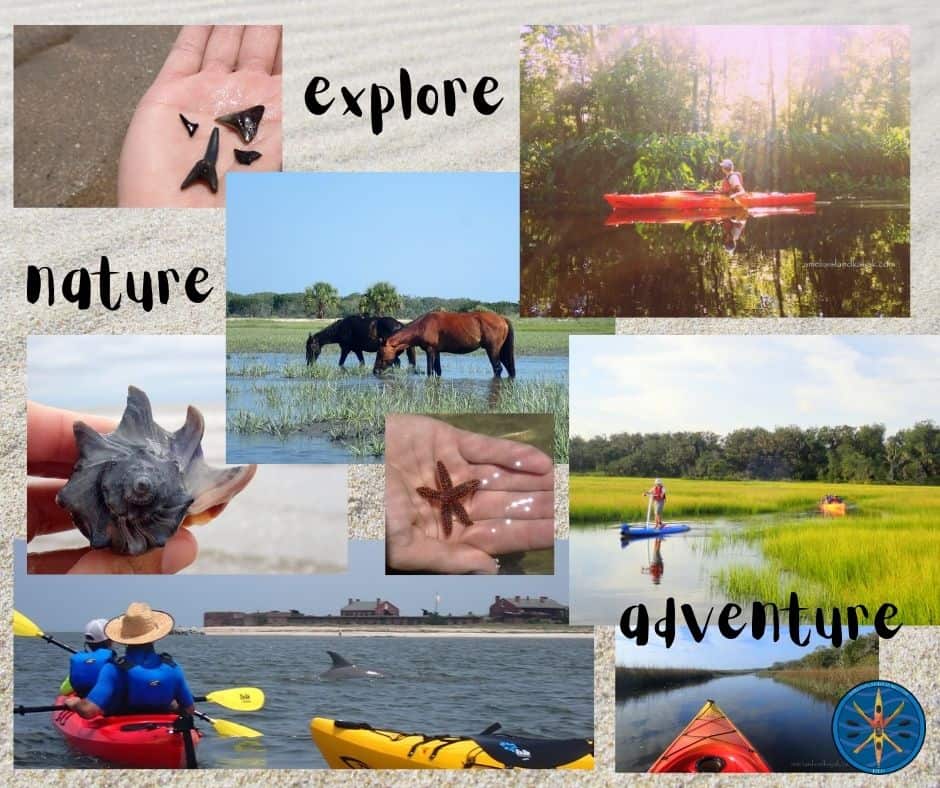 Amelia Island Kayak Excursions Adventure