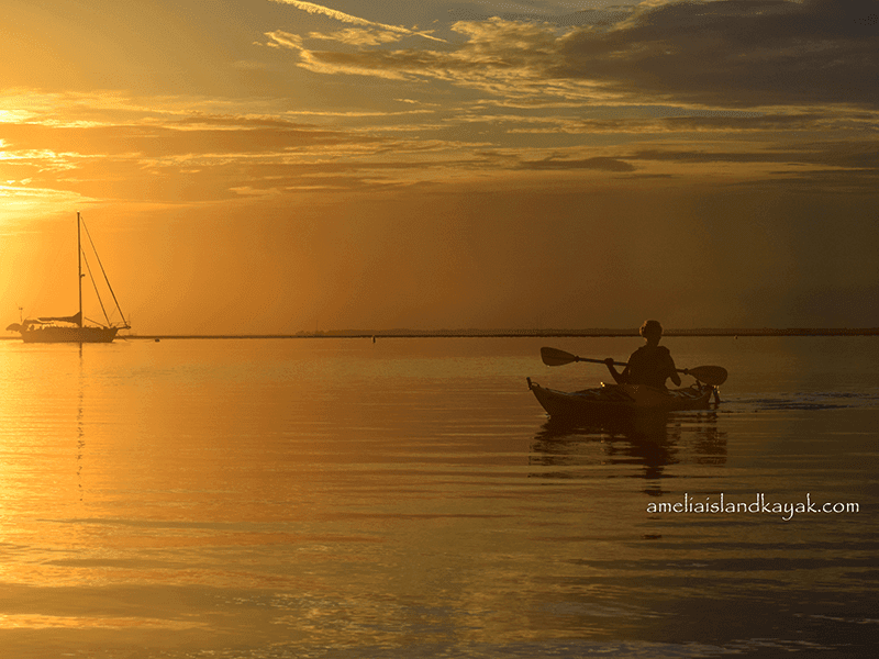 Amelia Island Kayak Excursions