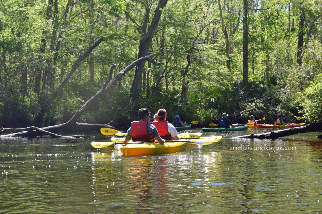 Amelia Island Kayak Excursions Lofton Creek